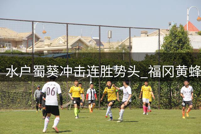 水户蜀葵冲击连胜势头 福冈黄蜂主场难言轻松